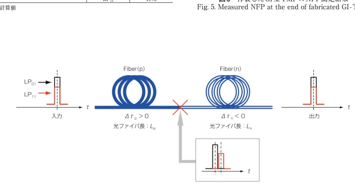 Fig. 6. Conceptual diagram of DMD compensating optical transmission path.