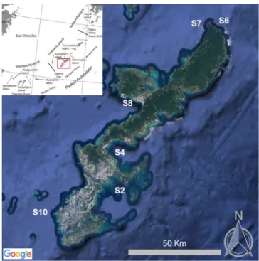 Fig. 1. Map of ﬁeld study area in Okinawa with the locations of the six towing stations from which particles were collected and analysed (Google Earth, 2020)