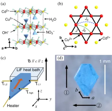 FIG. 1. (a) Crystal structure and (b) top view of a kagome layer of Cd-K [48]. The magnetic interactions between  nearest-neighbor, next-nearest-nearest-neighbor, and diagonal Cu 2þ spins are denoted by J (solid black line), J 2 (dotted line), and J d (das