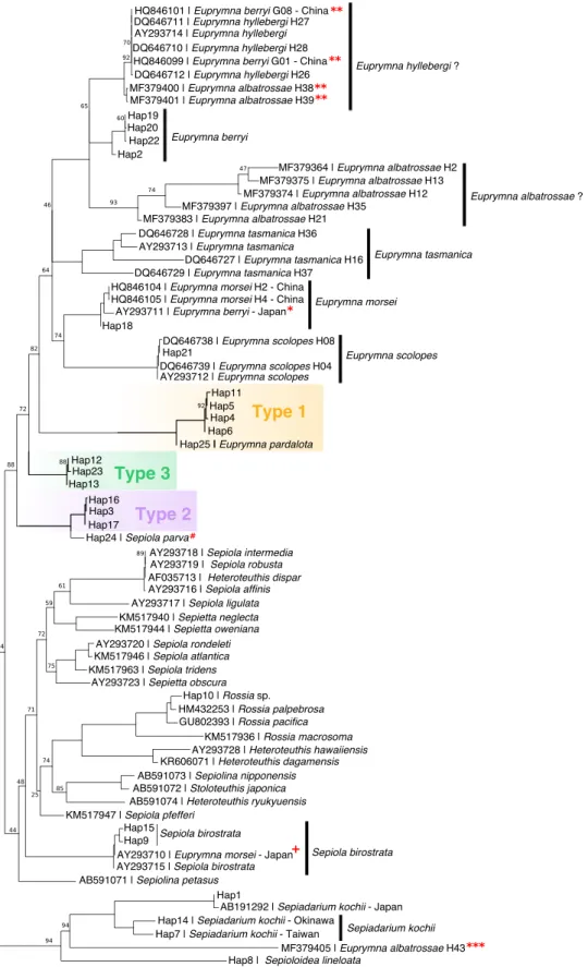 Fig. 2 Maximum likelihood tree estimated for COI sequences. Possible misidenti ﬁ cations of original taxa: *suspected E