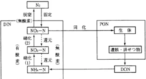 図 1-1  水中での窒素循環 