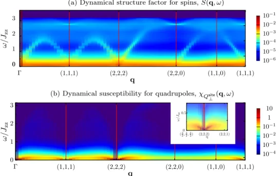 FIG. 5. Spin dynamics in the phase with hidden spin-nematic order (SN ⊥ ). (a) Dynamical structure factor for spin degrees of freedom, Sð q ; ω Þ, showing gapless continuum of excitations at low energies