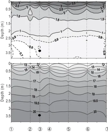 Fig. 19-(c)  Vertical distributions of DO and density ( σ t ) after 3  hour from the initiation of microbubble generator operation.