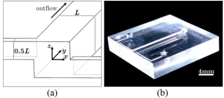 FIG. 1. Microfluidic T-mixer with staggered, offset inlets (vortex T-mixer). (a) Coordinate system and schematic of the vortex T-mixer