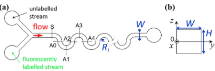 Fig. 2    Schematic of the microfluidic geometry used: a top view and  b cross-sectional view displaying the choice of axes