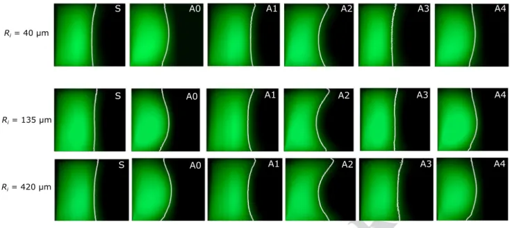 Fig. 6    Top row: evolution of the cross-sectional view down the chan- chan-nel for the polymeric solution flown at  De ∗ = 0.86  in the channel  used for the μ PIV  experiments: the white line highlights the position  of the interface, as obtained by adj