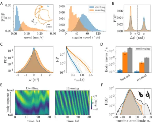 Fig 6. Posture-scale analysis of roaming/dwelling behavior from long (T * 8 h) recordings reveals that the centroid-derived increase in the dwelling reversal rate results from incoherent body motions that do not translate the worm, and that deep ventral tu