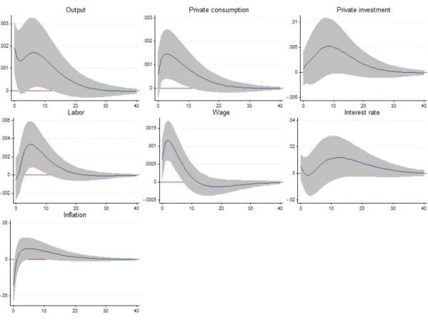 Fig. 2.   Impulse responses to  a  merit goods expenditure shock. Note:  The panels show the impulse 