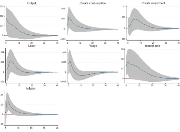 Fig. 3.  Impulse responses to a public goods expenditure shock. Note:  The panels show the impulse 