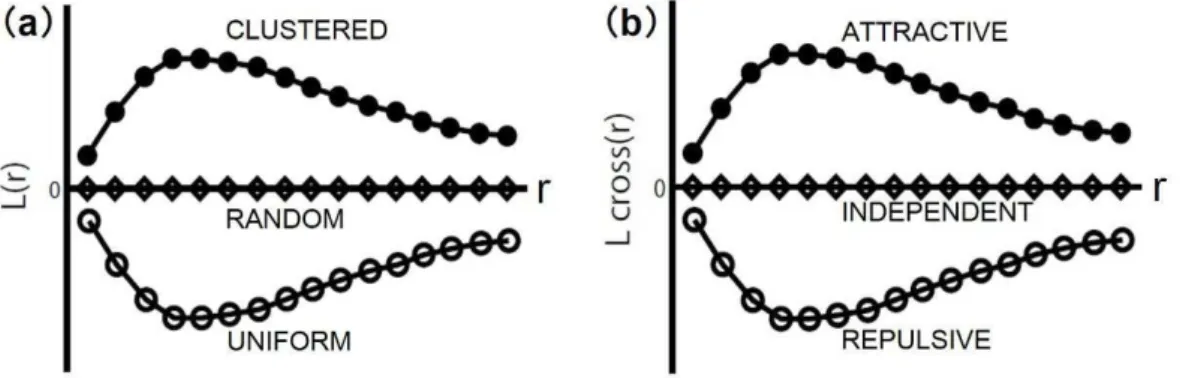 Figure 2. Example plots of expected L-function and cross L-function for the each of the  three kinds of point patterns in Fig