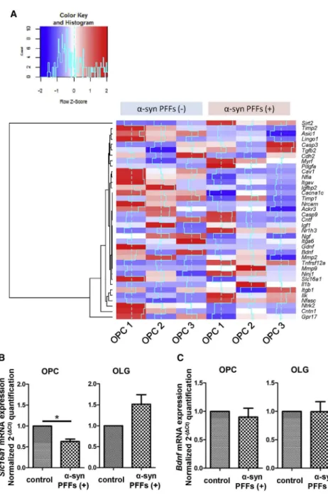 Figure 3. RNA-Seq and qPCR Analysis for mRNA Expression Alteration in a-Syn PFF-treated OPCs