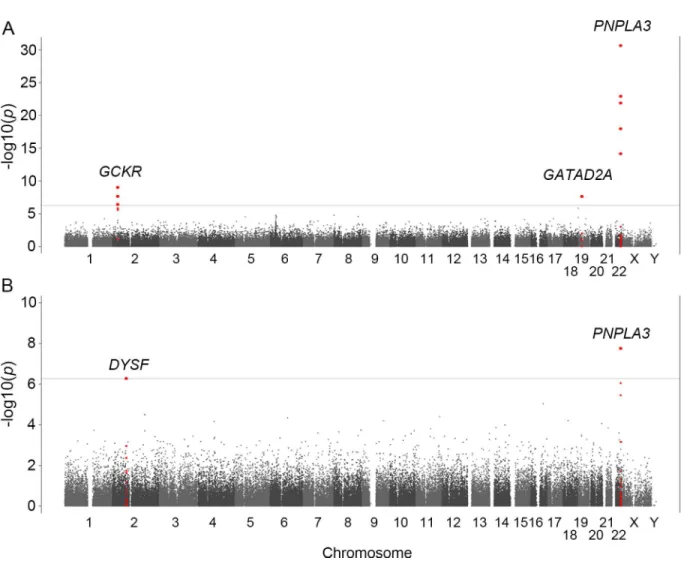 Fig 1. Manhattan plots of the GWA data. The p-values for genotyped SNPs from the GWA study for all NAFLD patients (A) and for NASH-HCC patients (B) compared to controls are plotted along each chromosome in −log10 scale