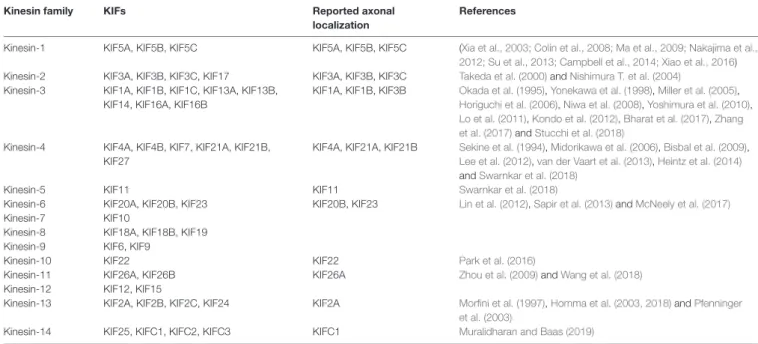 TABLE 1 | Kinesin superfamily classification.