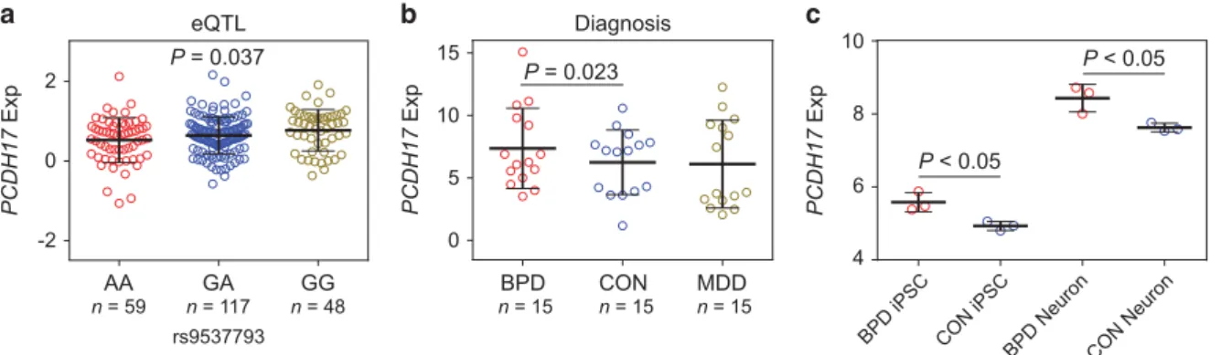 Figure 4. Risk genotype and diagnosis predict PCDH17 expression. (a) Association of rs9537793 with PCDH17 expression in the 224 postnatal subjects from frontal cortex in BrainCloud data set