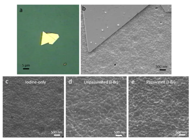 Figure 1.4: Morphology of the triple cation perovskite samples for this study. a) optical image of an I-only sample, showing a gold position marker