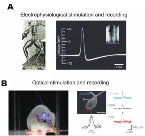 Figure 1.1 Historical comparison of electrophysiological and optical techniques for  stimulation and recording