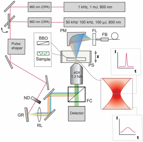 Figure 2.1 WF-TeFo setup diagram with switchable lasers and pulse shaping  capabilities