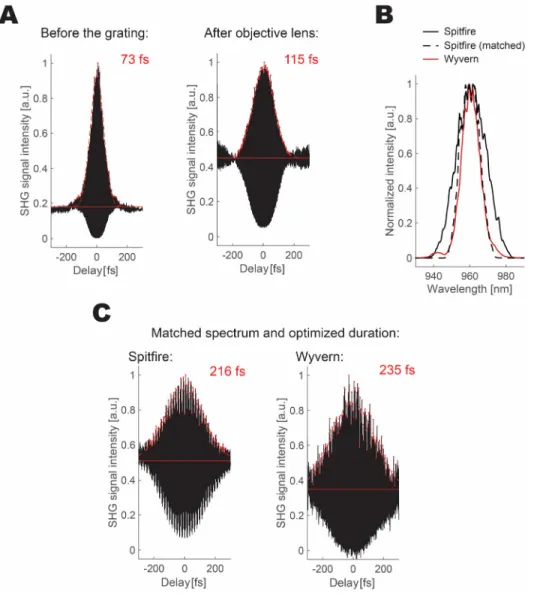 Figure 2.2 Pulse characterization and manipulation. (A) Optimized pulse  duration measured before the grating and after the objective lens using the  pulse shaper for the Spitfire system (1 kHz)