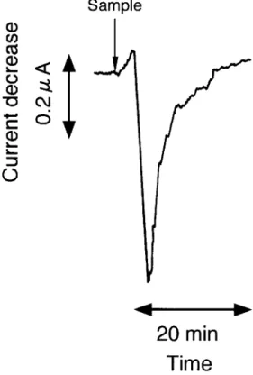 Fig. 1 shows typical response curve of the biosensor system for nitrate. After the stationary current was obtained, the nitrate standard solution was injected to the sample port of the flow line