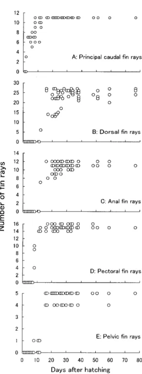 Figure 1. Changes in swimming-related characters with dayss after hatching in Cottus pollux.