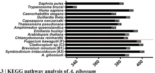 Figure 3.3 | KEGG pathway analysis of A. gibossum 