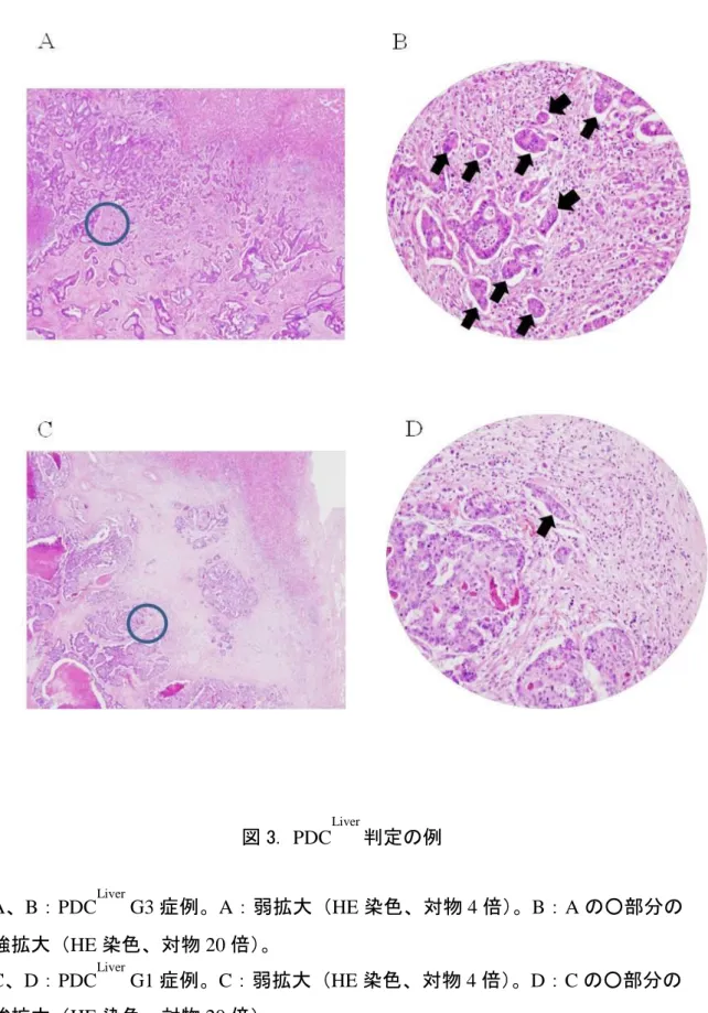図 3.  PDC