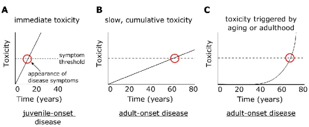 Figure 3.1 Mechanisms underlying immediate and delayed toxicity 