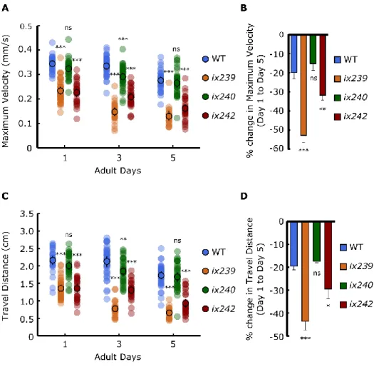 Figure 3.7 Maximum velocities of WT, ix239, ix240, and ix242 worms  