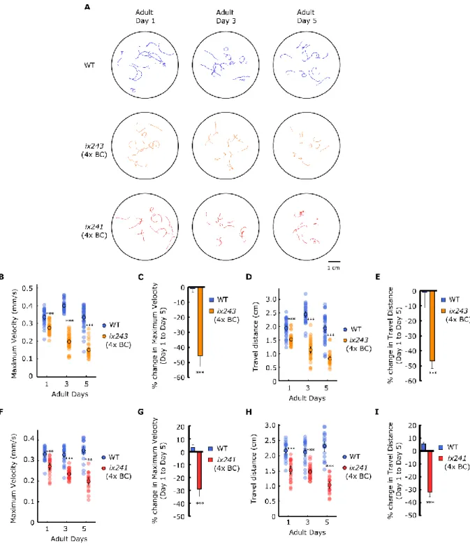 Figure 3.8 ix241 and ix243 strains show progressive decline in locomotor function after  four backcrosses 