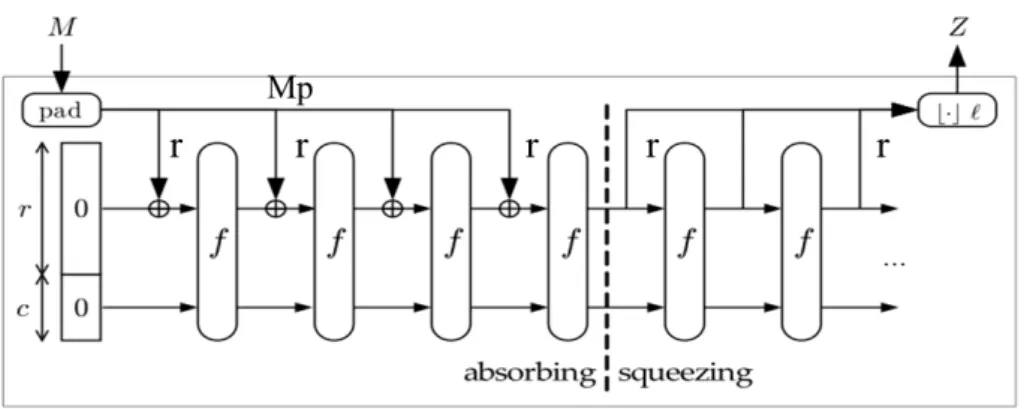 図 2.1 スポンジ構造 [21] ．
