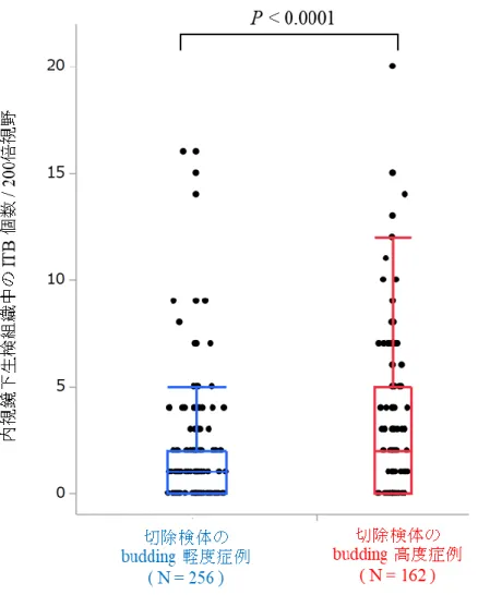 図  16.  切除検体の budding 程度別の内視鏡下生検組織中の intratumoral budding  (ITB)  個数の比較 