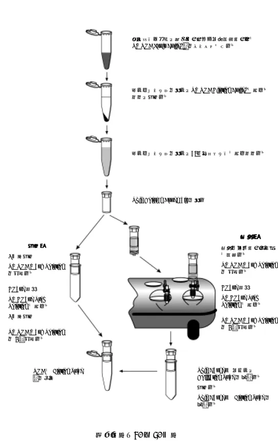 図 1. SV Total RNA Isolation System の操作手順
