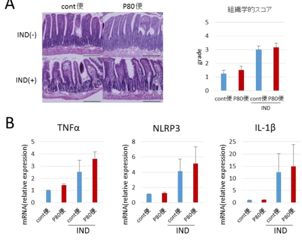 図 9  乳化剤を投与したマウスの便の FMT が IND 腸炎に与える影響 