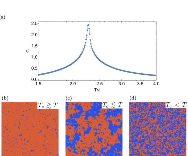 Figure 2.3: Monte Carlo simulations for the Ising model (100 × 100 sites) on the square lattice