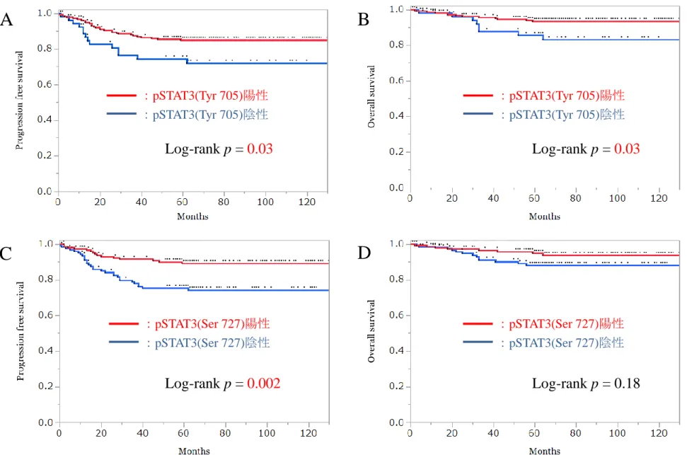 図 4   子宮体部類内膜癌患者における pSTAT3(Tyr 705) 発現および pSTAT3(Ser 727) 発現の陽性群と陰性群の予後比較