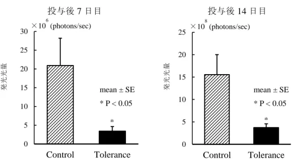 Figure 5  Colon 26 門脈内投与後の光量の推移 