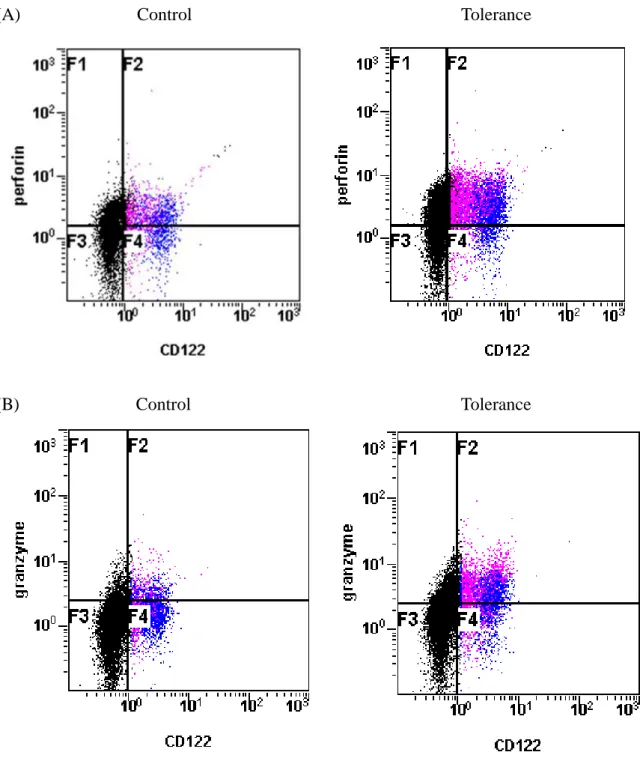 Figure 10  肝単核球の Perforin, Granzyme B 陽性細胞数の計測 
