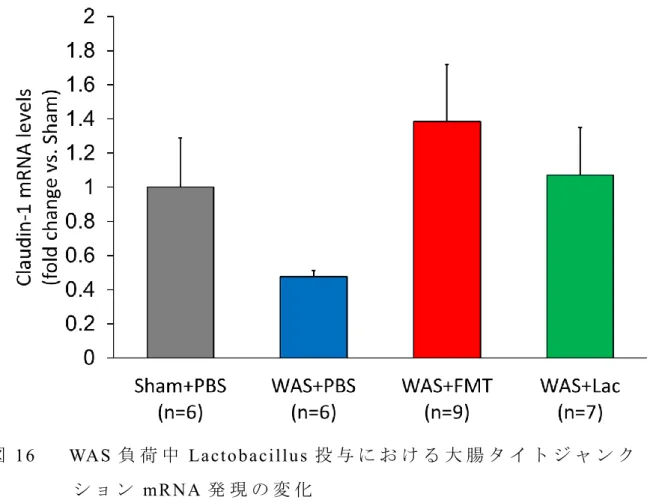 図 16   WAS 負 荷 中 Lactobacillus 投 与 に お け る 大 腸 タ イ ト ジ ャ ン ク シ ョ ン mRNA 発 現 の 変 化
