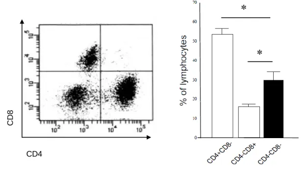 図 1 .  MRL/lpr マウスの腎単核球における flow cytometry analysis  ( FCA )