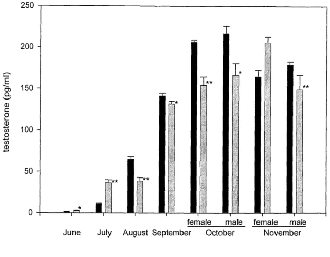 Figure  IV‑ 1 7.  Plasma testosterone levels in control and CR ayu. The mean values were  represented with standard deviation (n=3). The asterisk denotes that there  are significant differenees (**P<0.01 