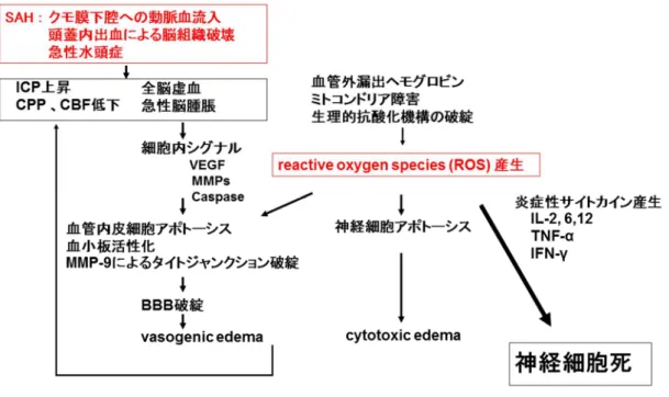 図 2: early brain injury 