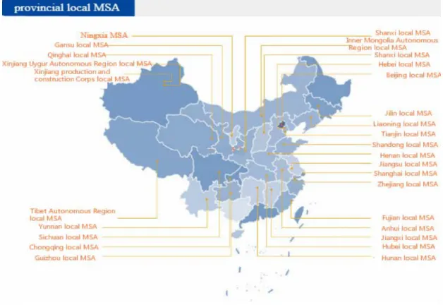 Figure 4 27 Local MSA 