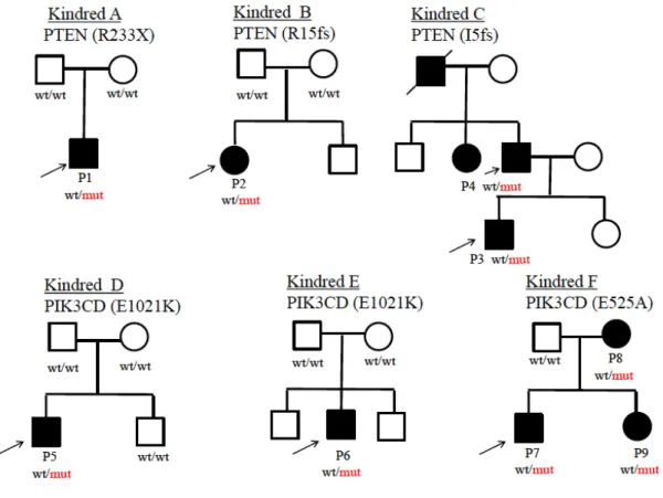 図 1 PTEN 変異および PIK3CD 変異を持つ患者家系図