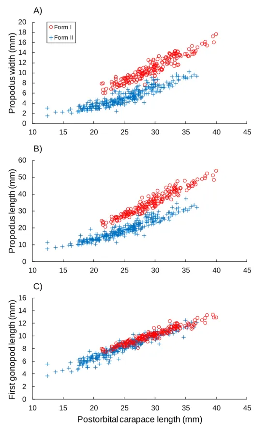 Fig. 2. Growth in the chela propodus width (A), chela propodus length (B) and first gonopod 677 