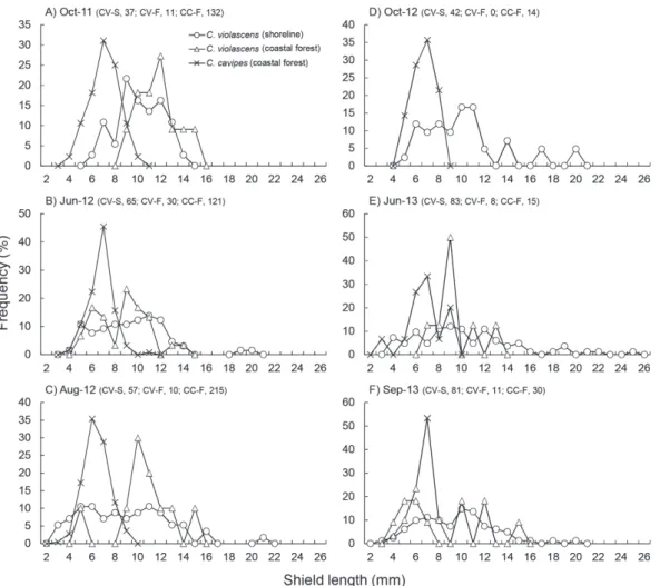 Fig. 3.  Size-frequency distributions of C. violascens collected along the shoreline, C