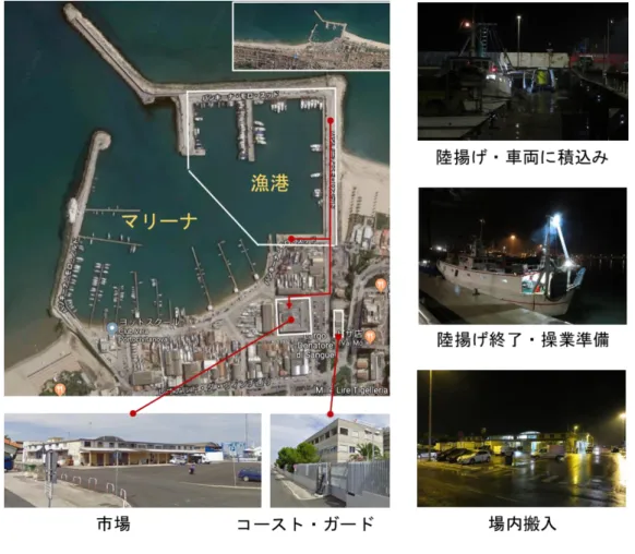 図 2.3.1  漁港の配置と利用 