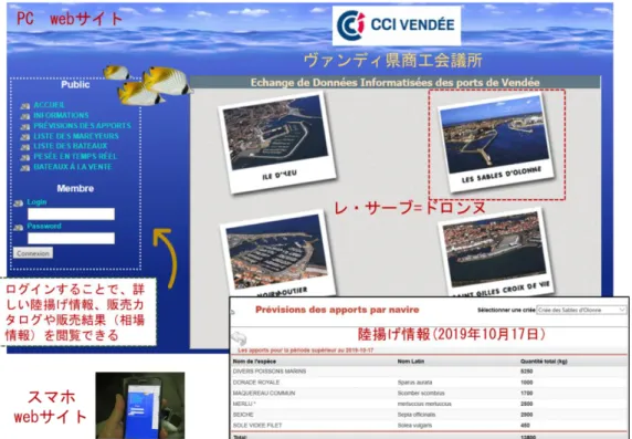 図 3.2.4  陸揚げ情報の提供（web サイト） 