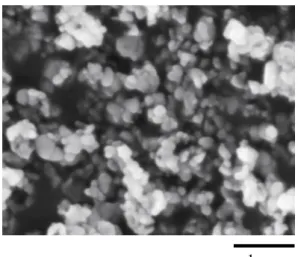 Fig. 2-9(a) SEM photograph of Fe 2 O 3 -1. 