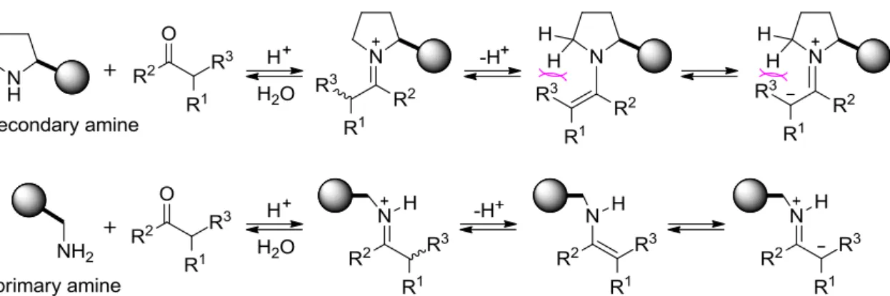 Figure 3-2. Activating Models of Branched Carbonyl Compound 