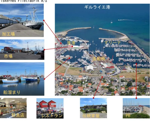 図 3.1.1  ギルライエ港 